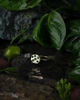 14K Gold Plated Seeds Ring | Erdem Akan X Runda