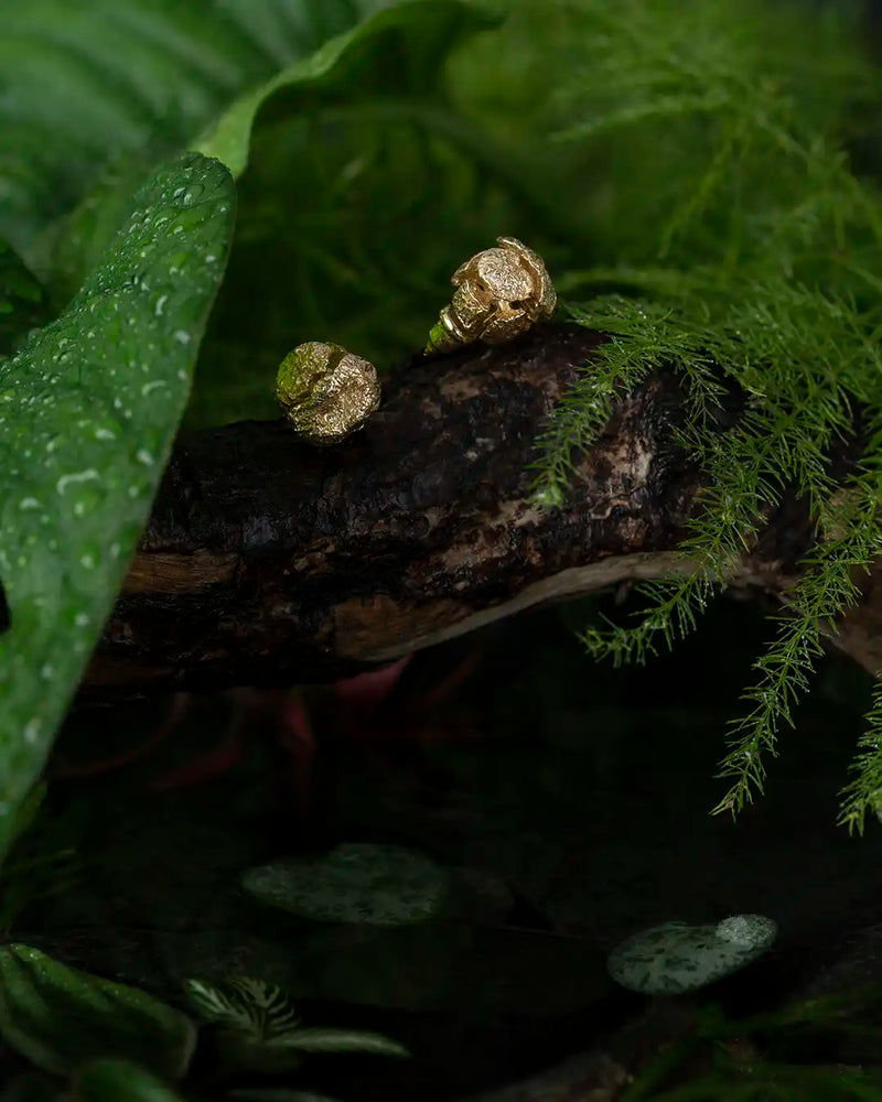 14K Gold Plated Pinus Earrings | Erdem Akan X Runda